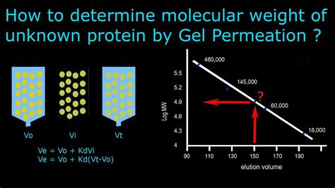 Gel Permeation Chromatography Part Molecular Weight Determination