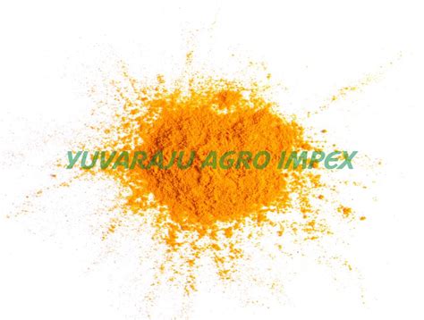 Turmeric Powder Manufacturerssuppliersexporters In India