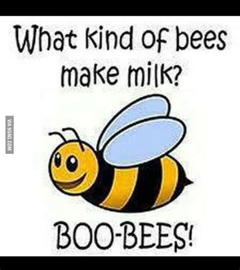 I Like Those Kind Of Bees 9gag