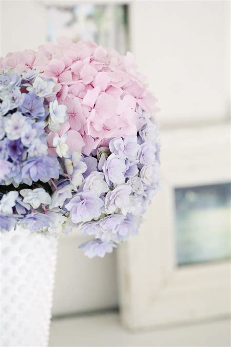 141 Best Pretty Pastel Flowers X Images On Pinterest Flower