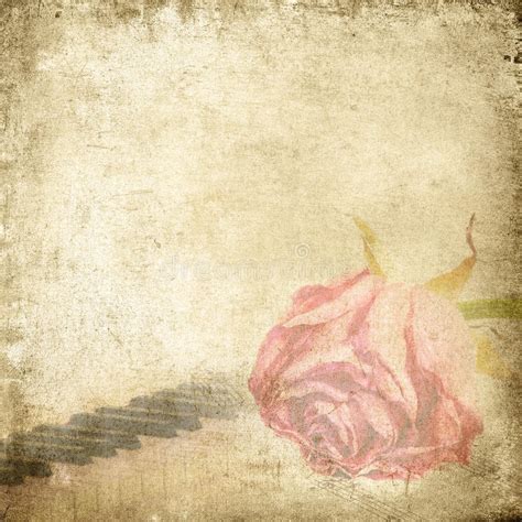 It also makes use of style galant in the classical period which was. Old Music Background With Rose. Vintage Background. Stock Photo - Image of relief, parts: 32757284