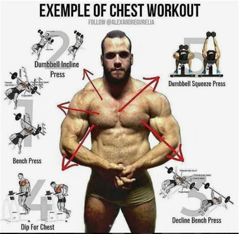 Lower Chest Workout At The Gym For Women Fitness And Workout Abs Tutorial