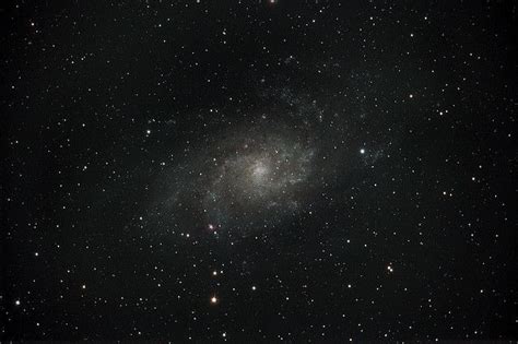 Triangulum Galaxy M33 Ngc 598 Triangulum Galaxy Spiral Galaxy