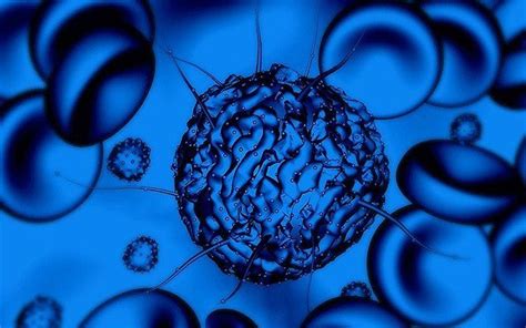Researchers Discover A New Kind Of Stem Cell Science And Technology