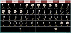 Cuánto dura cada FASE LUNAR? -【 Calendario 2022