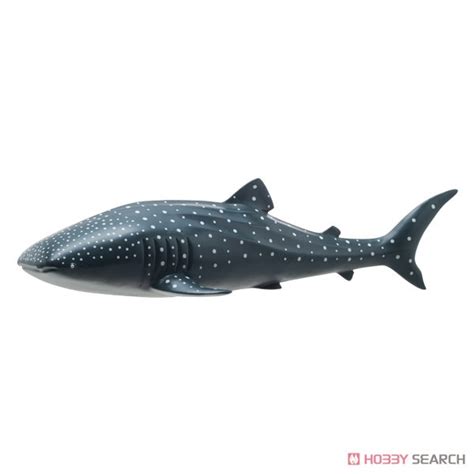 Whale Shark Vinyl Model Animal Figure Item Picture1