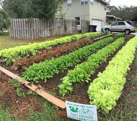 How to get a garden plot tilled? 137: Heather Grove on Fleet Farming - The Urban Farm