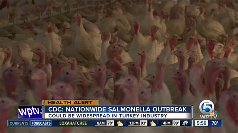 Salmonella Outbreak Linked To A Raw Turkey