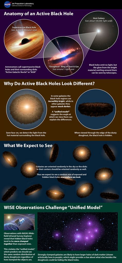 Unified Or ‘doughnut Theory Of Active Black Holes Black Hole