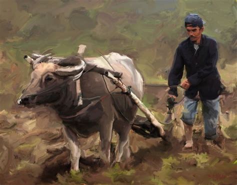 Dahulu sawah pertanian di indonesia bisa dibilang proses membajak sawah menggunakan binatang ternak seperti kerbau dan terkadang sapi. Gambar Pemandangan Sawah Dan Kerbau