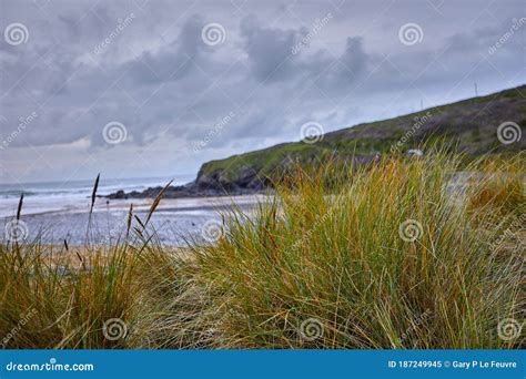 Dune Grass At Poldhu Beach Cornwall Uk Stock Image Image Of Depth