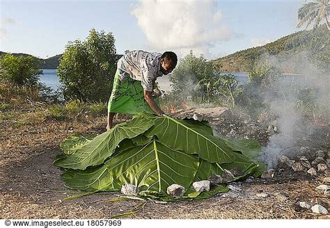 Local Cooks With Earth Oven Local Cooks With Earth Oven Makogai