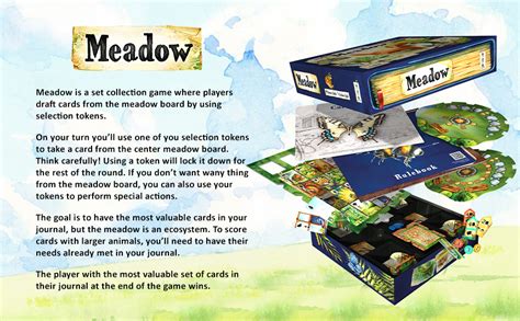 Meadow Board Game Strategy Game Adventure Game Nature
