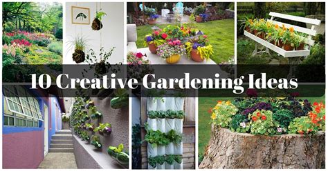 10 Creative Gardening Ideas Yardyum Garden Plot Rentals