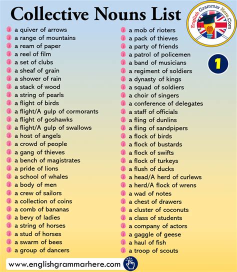 Collective Nouns List In English English Grammar Here