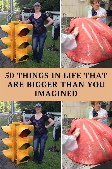 50 Things In Life That Are Bigger Than You Imagined Inspirational