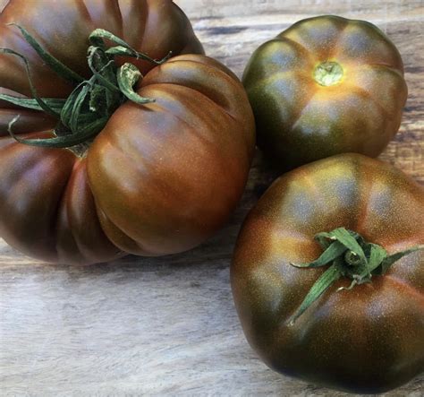 Black Russian Tomato Seeds Heirloom Organic Tims Tomatoes