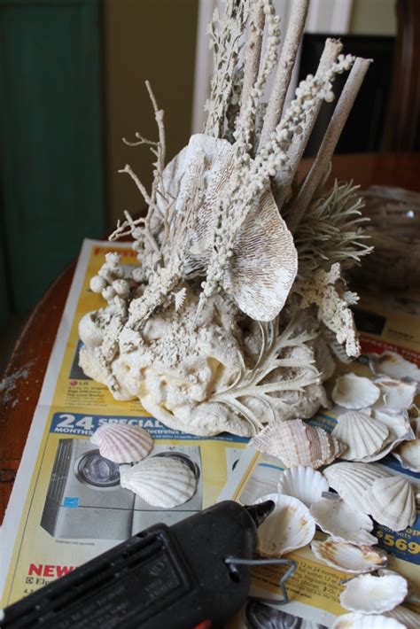 Striking Shell And Coral Display Miss Kopy Kat