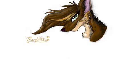 Maybelline Wolf Oc By Skittletheponygirlda On Deviantart