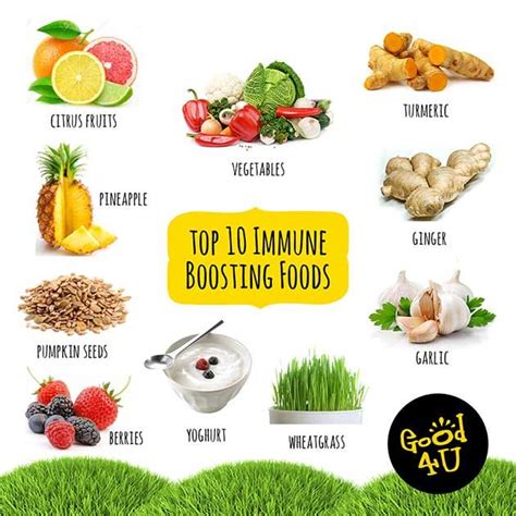 7 ways to naturally boost your immune system. Boost Your Immune System With These Amazing Foods | Wrytin