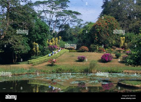 Peradeniya Botanical Garden Kandy Sri Lanka Stock Photo Alamy