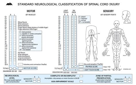 The Spine Exeter Surgical Society