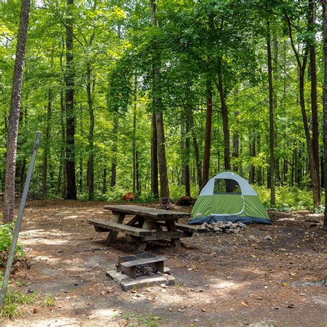 Some campgrounds are more developed than others with a range of paved roads, pressurized water systems and pit toilets. Mini review - Free Campsite Uwharrie National Forest Yates ...