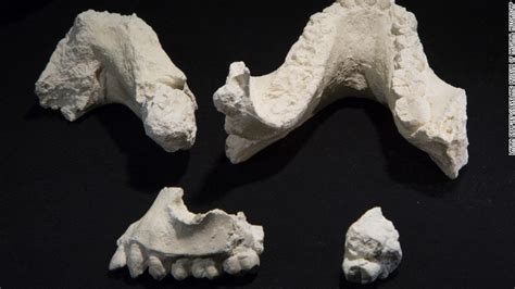 Oldest Homo Sapiens Fossils Discovered Cnn