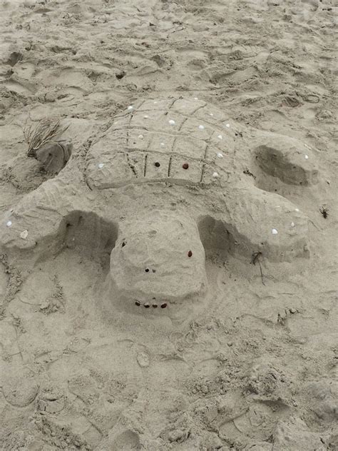 Sand Turtle Cuba Turtle Lion Sculpture Sand Statue Turtles