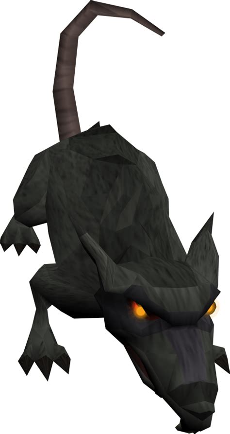 Fileblessed Giant Rat Orangepng The Runescape Wiki