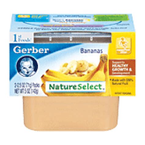 Gerber 1st Foods Baby Foods Bananas 25 Oz 2pk Stage 1 Food Baby