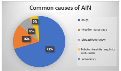 Most Common Causes Of Acute Interstitial Nephritis Ain 7287