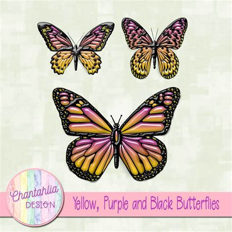 Free Black Yellow And Purple Butterflies Design Elements For Digital