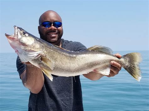 Fishing On Lake Erie Your Complete Guide Gary Spivack