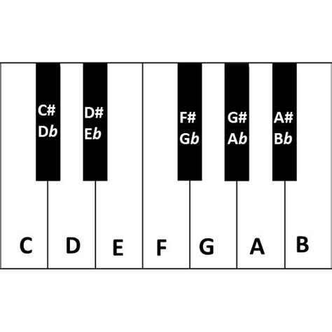 Notas De Teclado E Piano Aprenda A Decorar Teoria Musical Música