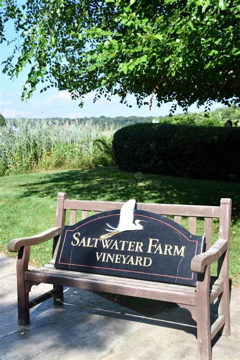 Saltwater Farm Vineyard In Stonington Connecticut Editorial