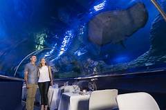 Dine Beneath The Canopy Anthonys Under The Oaks Transforms Dining Into An Art Form