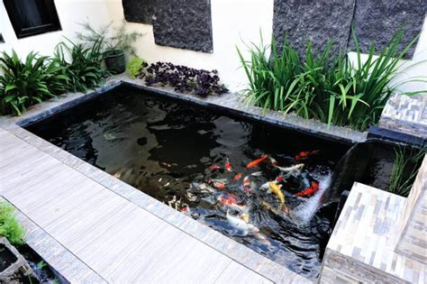 Indoor Water Garden With Fish