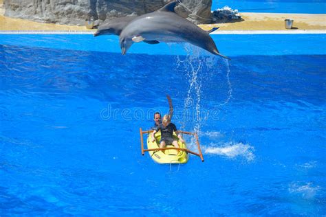 Gran Canaria Spain March 10 2017 Dolphins Show At Palmitos Park In