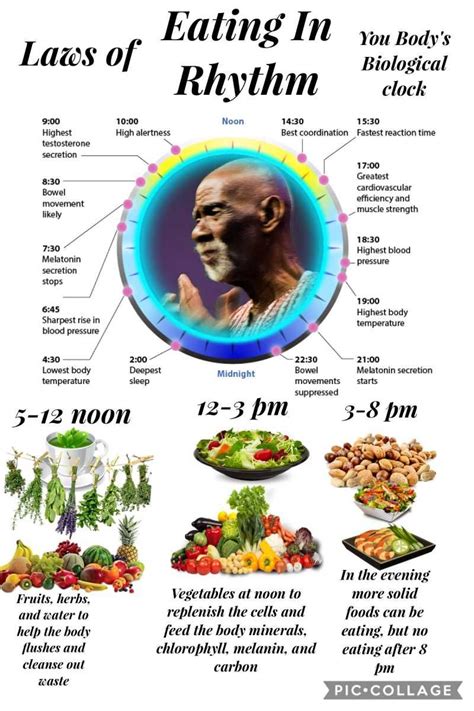 Dr Sebi Nutritional Guide List Yoiki Guide