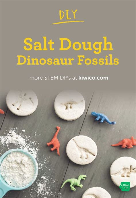 Create your own fossils out of salt dough! | Dinosaur activities