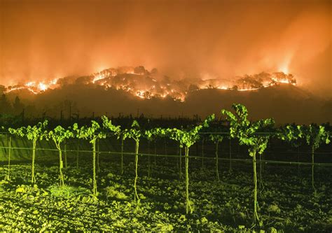 ‘wildfires At Night Stuart Palleys Photography Captures A Strange