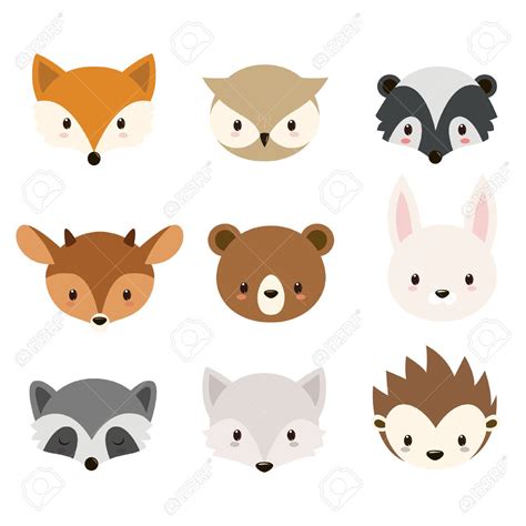 Cute Woodland Animals Collection Animals Heads Isolated On White