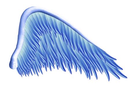 Angel Wings Png Angel Wings Clip Art Fairy Clip Art Library