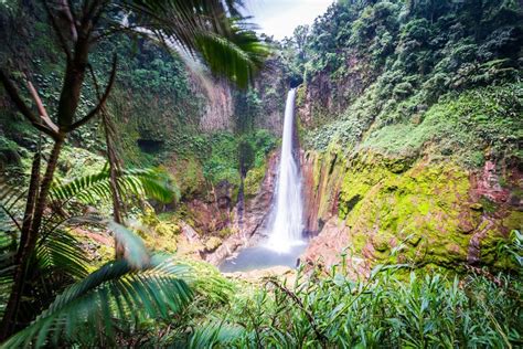 The Best 5 Hiking Trails Near San José Costa Rica