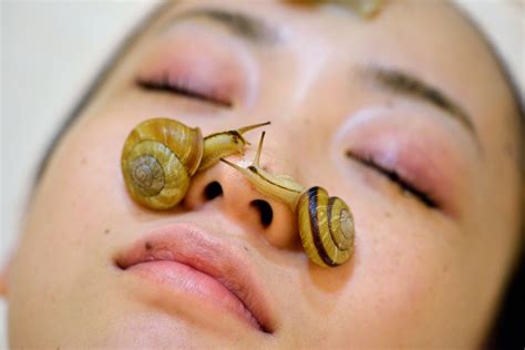 Does Slimy Snail Cream Do Anything For Your Face