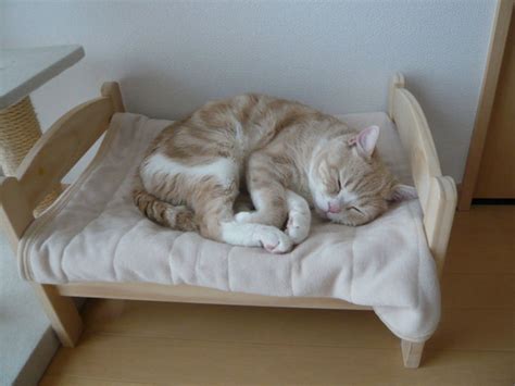 Japanese Cat Lovers Buy Adorable Diy Ikea Cat Beds