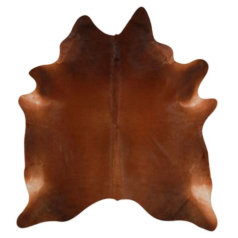 Solid Brown Brazilian Cowhide Rug Cowhides Direct