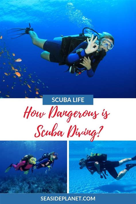 How Dangerous Is Scuba Diving Artofit