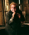 Timothy Spall as Peter Pettigrew Harry Potter Villains, Harry Potter ...